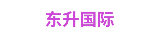 东升国际